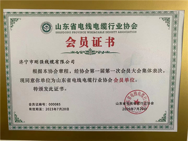 榮譽(yù)資質(zhì)